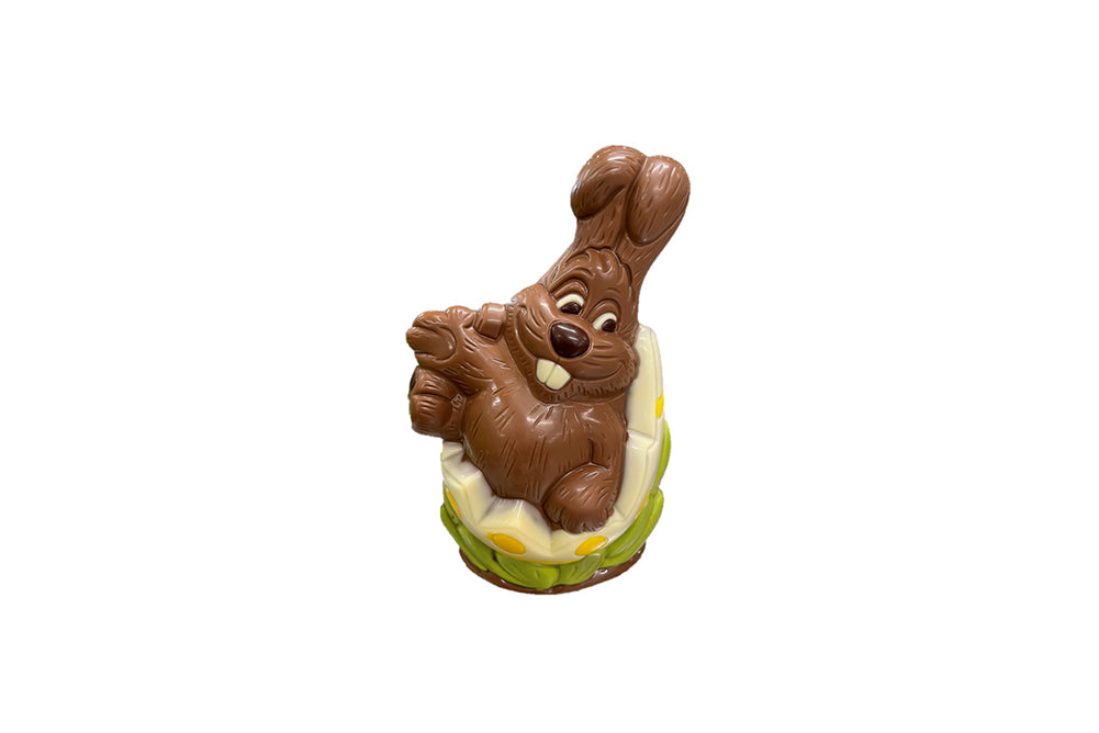 Osterhase im zerbrochenen Ei gross